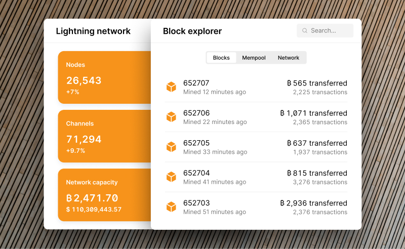 Illustrative interface for block explorer software